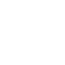 X (Twitter)